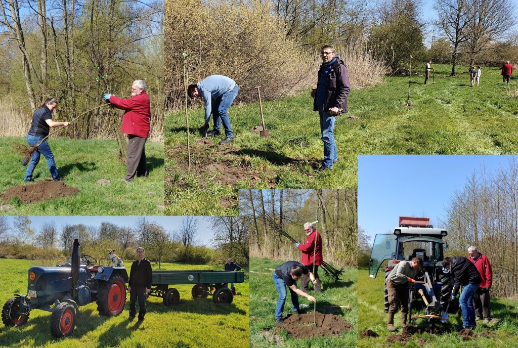 Fotocollage von Christiane Straus