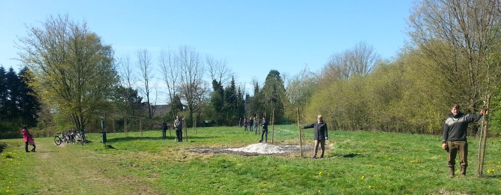 Pflanzaktion am Rodelberg